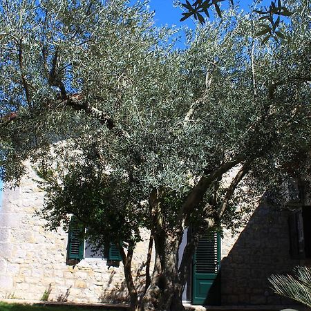 Appartamento Le Tre Palme Frigintini المظهر الخارجي الصورة