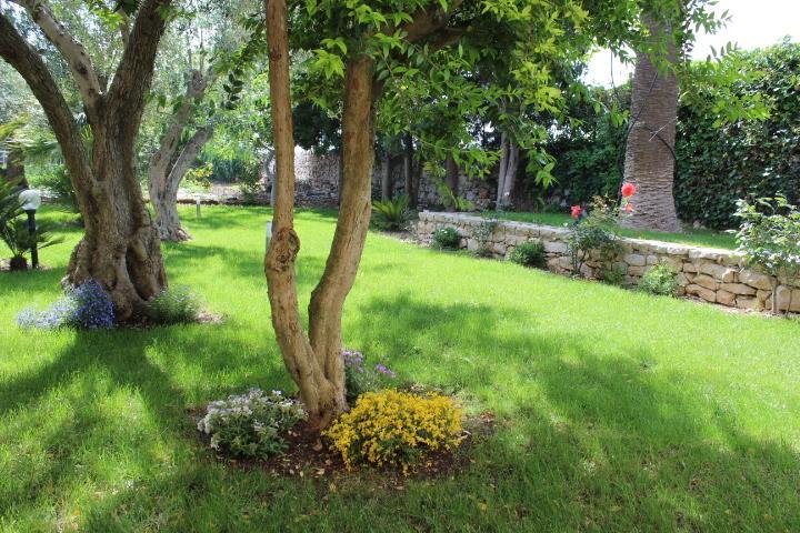 Appartamento Le Tre Palme Frigintini الغرفة الصورة