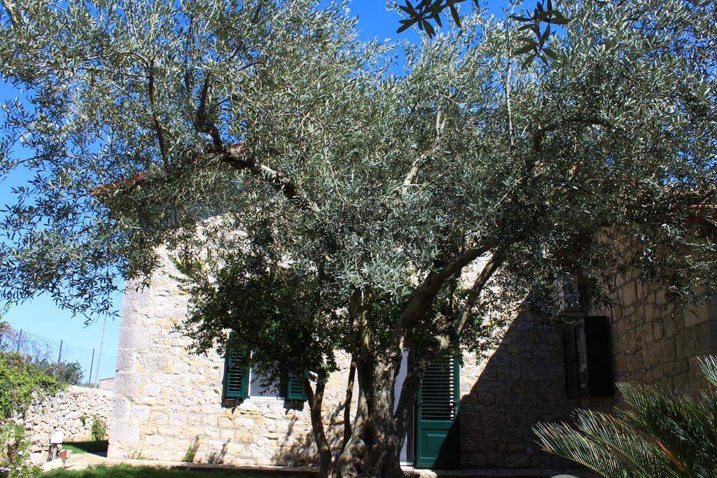 Appartamento Le Tre Palme Frigintini المظهر الخارجي الصورة