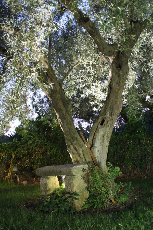 Appartamento Le Tre Palme Frigintini المظهر الخارجي الصورة